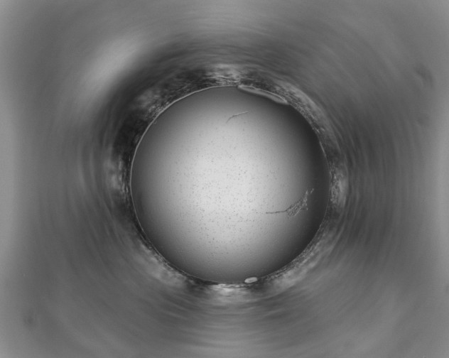 X0000112480477200908241258