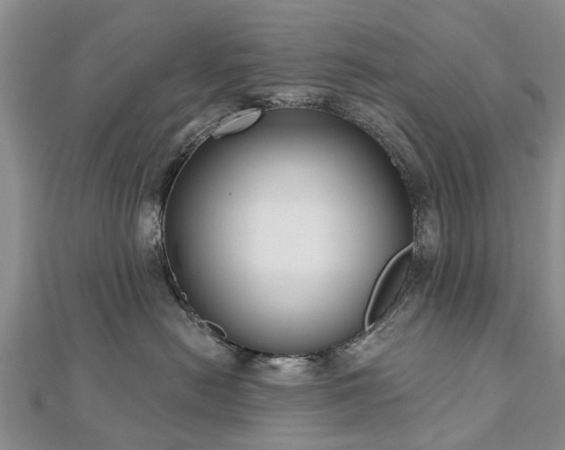 X0000112480478200908241258