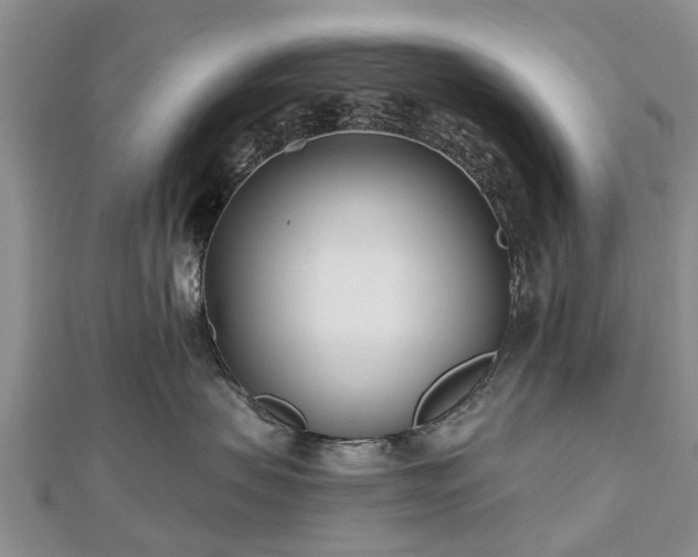 X0000112480479200908241258