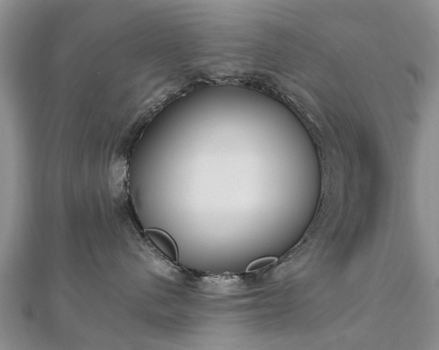 X0000112480480200908241258