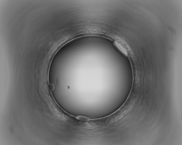 X0000112480481200908241258