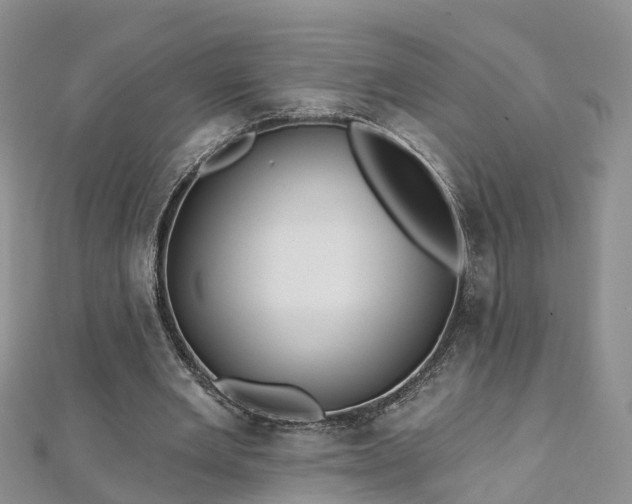 X0000112480485200908241258