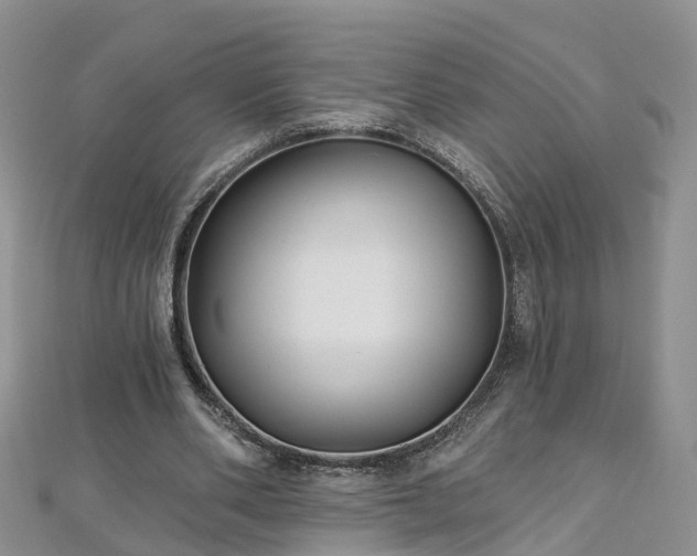 X0000112480486200908241258