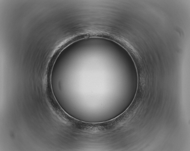 X0000112480488200908241258