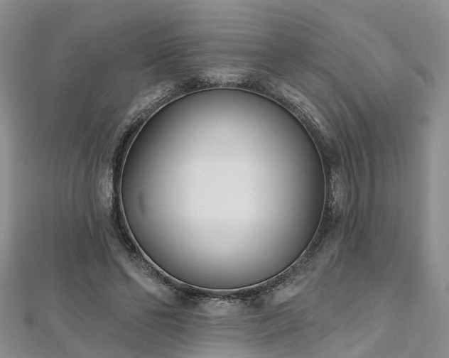 X0000112480494200908241257