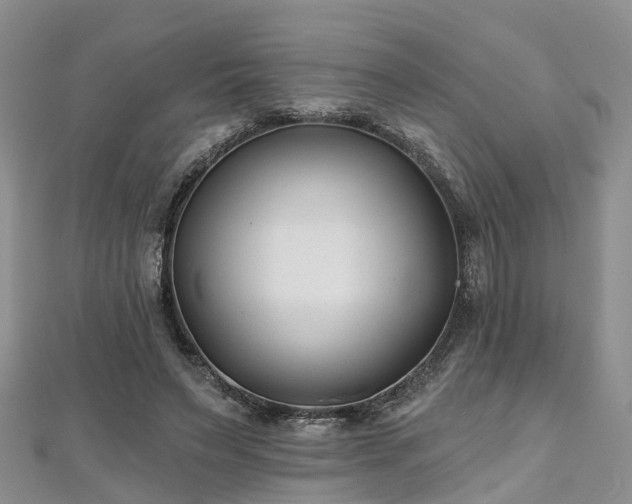 X0000112480495200908241257