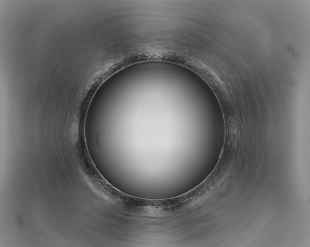 X0000112480496200908241257