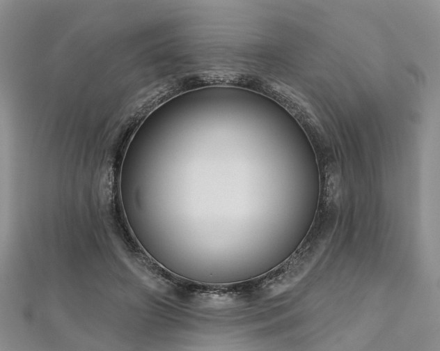 X0000112480498200908241257