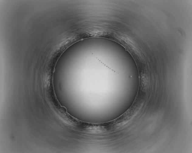 X0000112480499200908241257