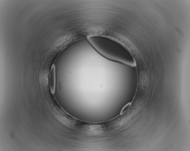 X0000112480501200908241257