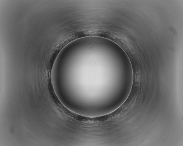 X0000112480503200908241257