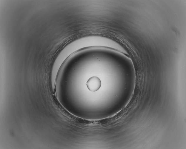 X0000112480505200908241257