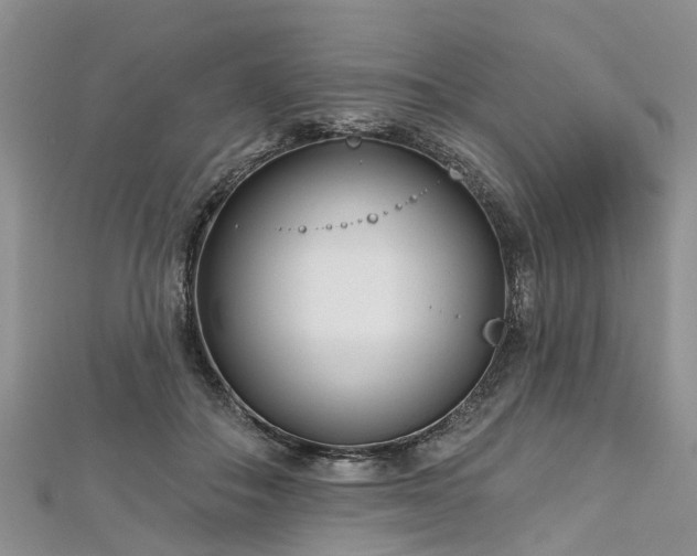 X0000112480506200908241257