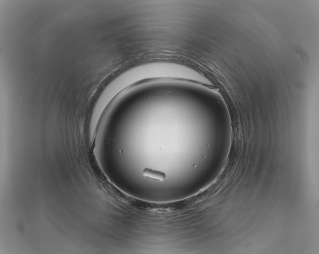 X0000112480508200908241257