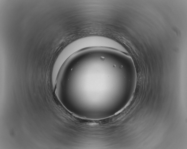 X0000112480509200908241257