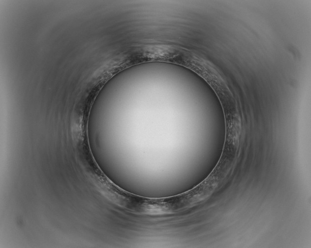 X0000112480510200908241257