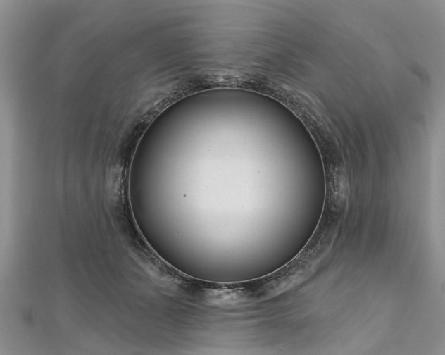 X0000112480511200908241257