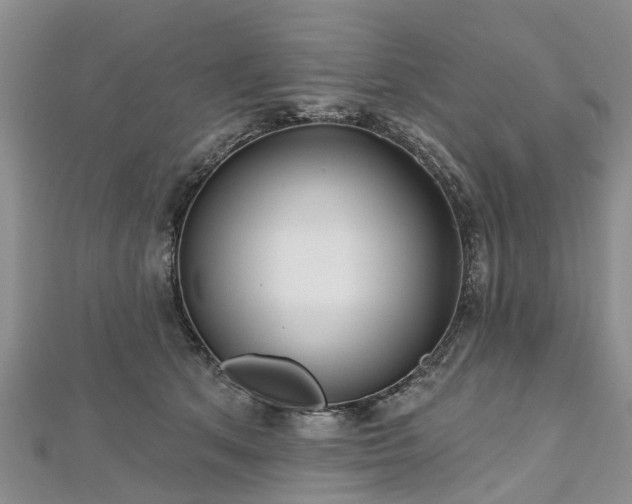 X0000112480513200908241257