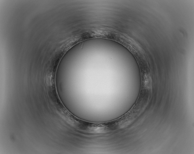 X0000112480514200908241257