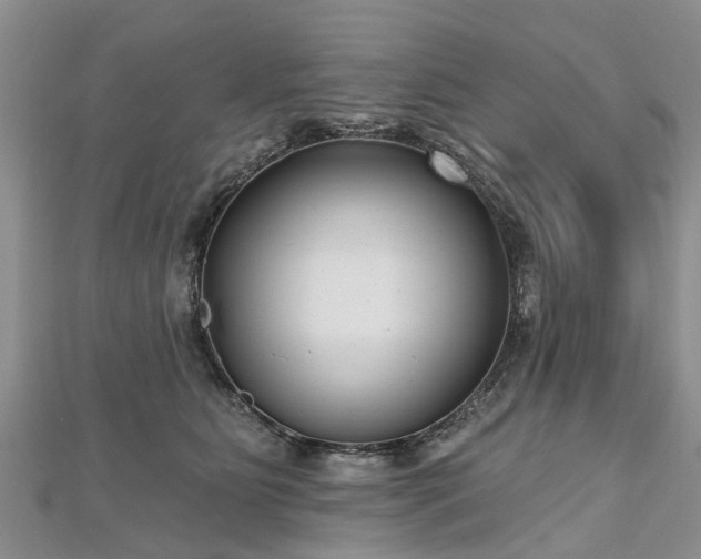 X0000112480515200908241257