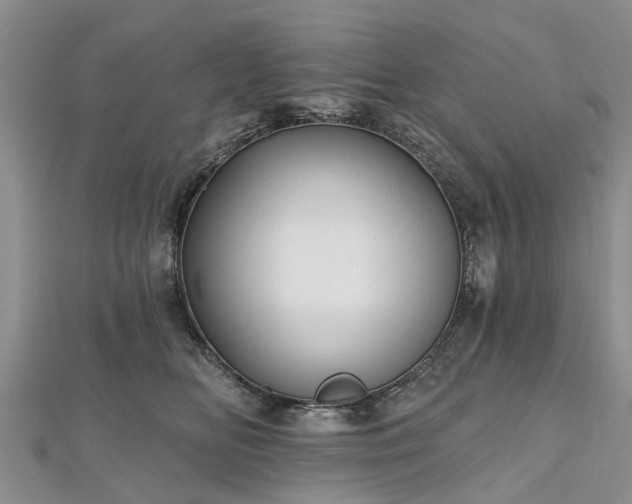 X0000112480518200908241257