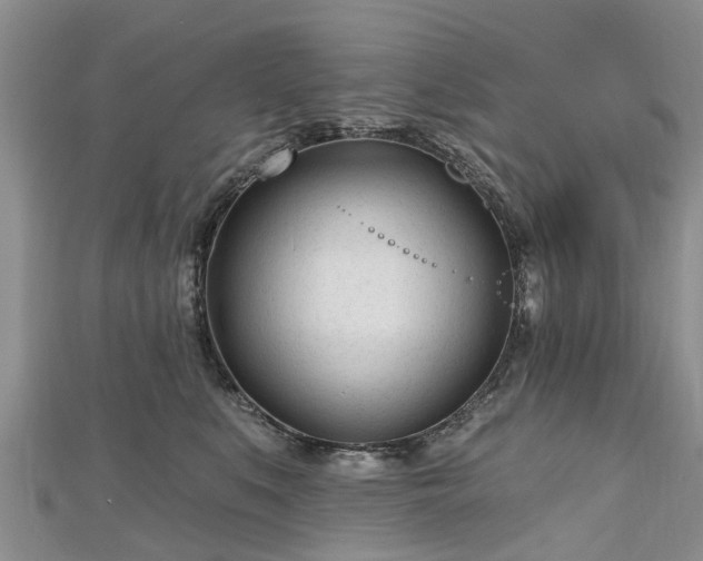 X0000112480519200908241257