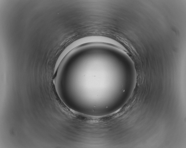 X0000112480521200908241257