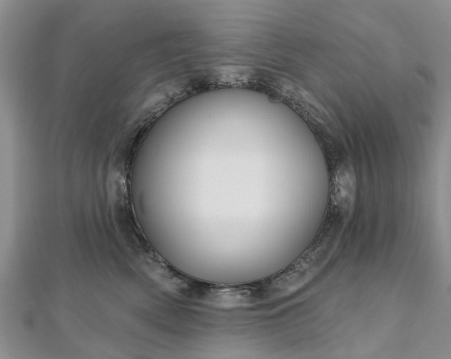 X0000112480522200908241257