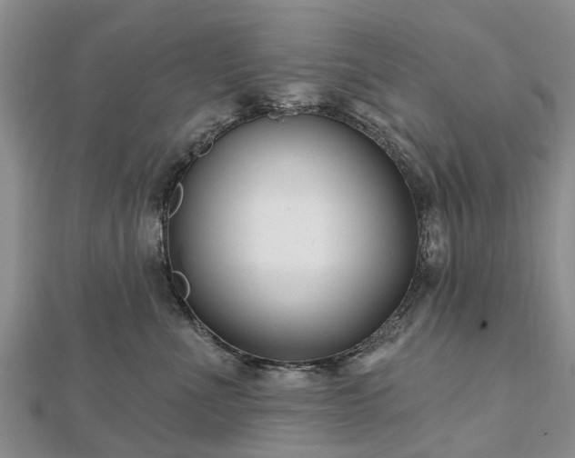 X0000112480523200908241257