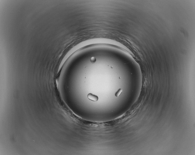 X0000112480524200908241257