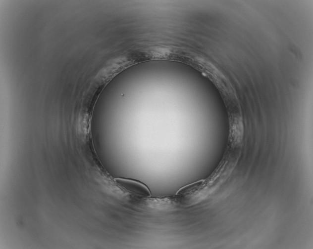 X0000112480525200908241257