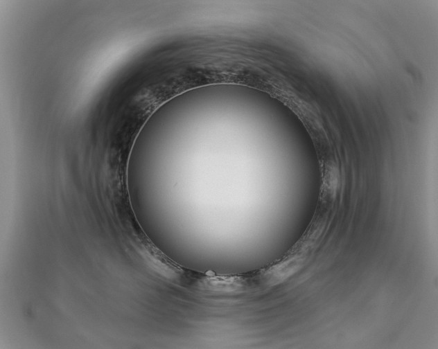 X0000112480526200908241257