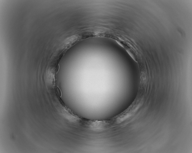 X0000112480527200908241257