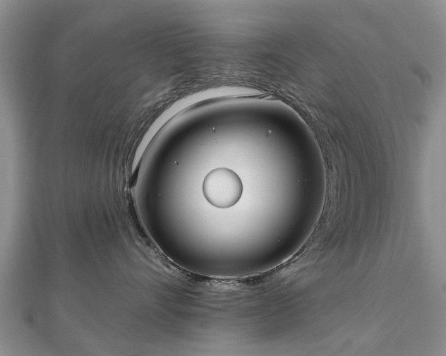 X0000112480528200908241257