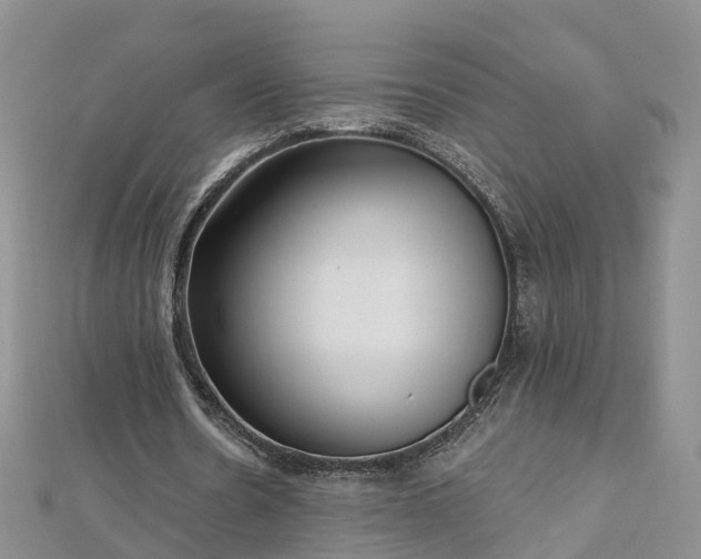 X0000112480530200908241256