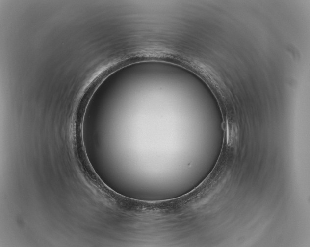 X0000112480531200908241256