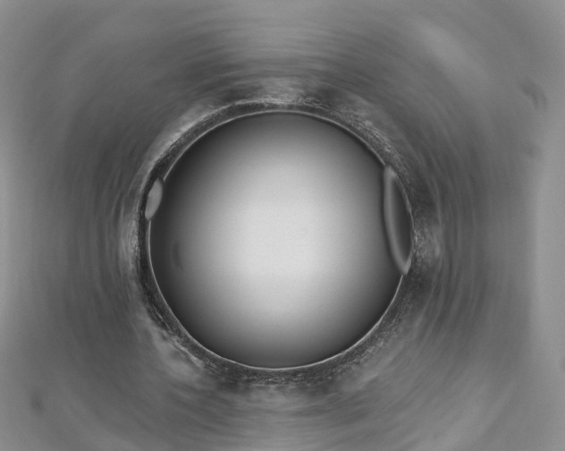 X0000112480532200908241256