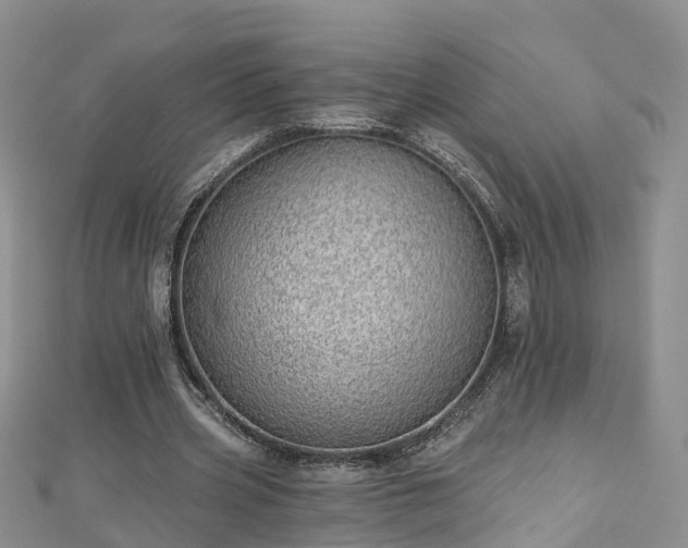 X0000112480533200908241256