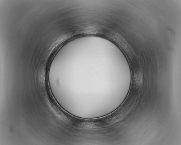 X0000112480534200908241256