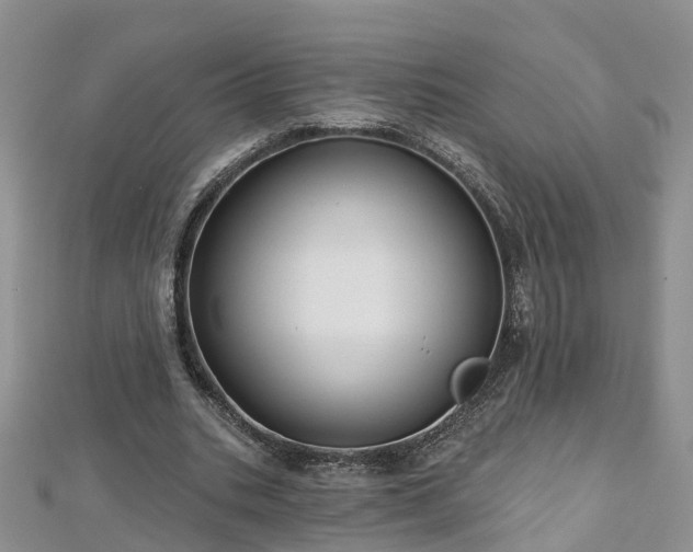 X0000112480535200908241256