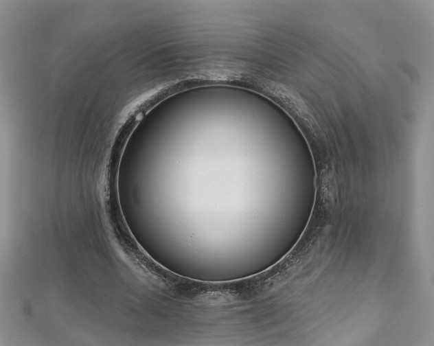 X0000112480536200908241256