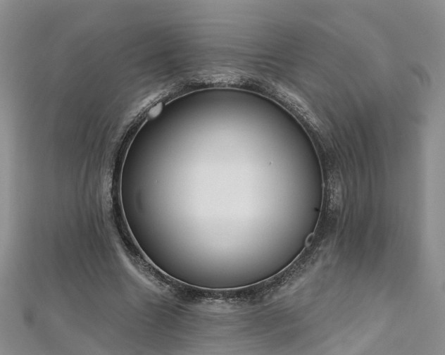 X0000112480538200908241256