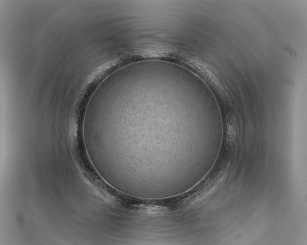 X0000112480539200908241257