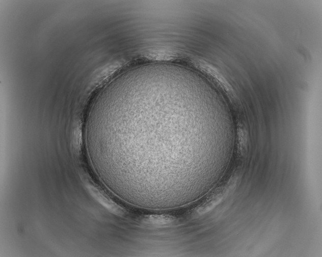 X0000112480541200908241257