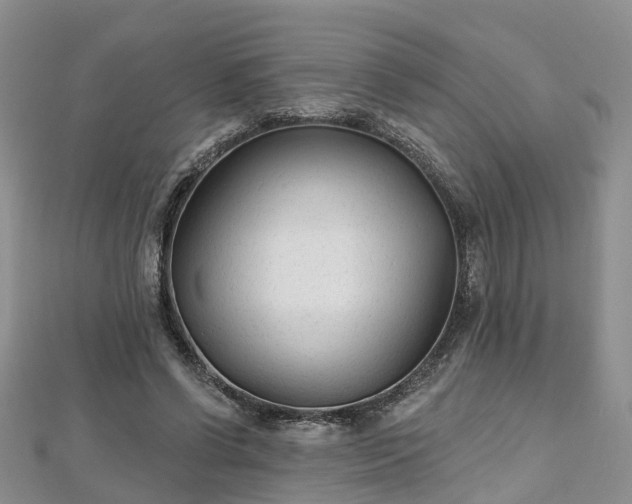 X0000112480542200908241257