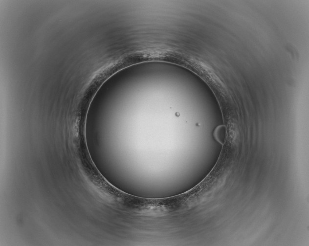 X0000112480543200908241257