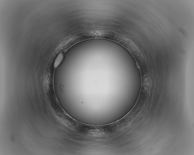 X0000112480544200908241257