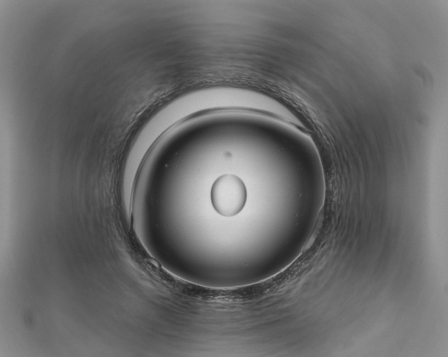 X0000112480546200908241257