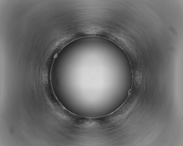 X0000112480547200908241257