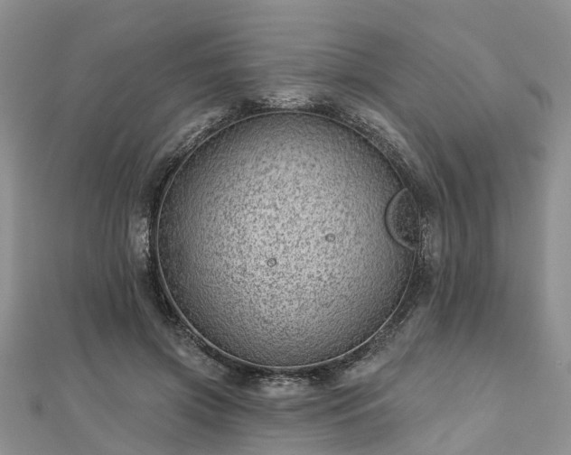 X0000112480549200908241257